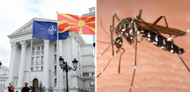 Здружението на комарците се оградува од ставовите на владата и најави тужба во Стразбур